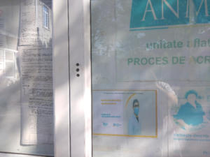 thumbnail (4)